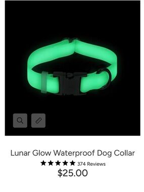 NWT Sunny Tails Lunar Glow Waterproof Dog Collar - Large